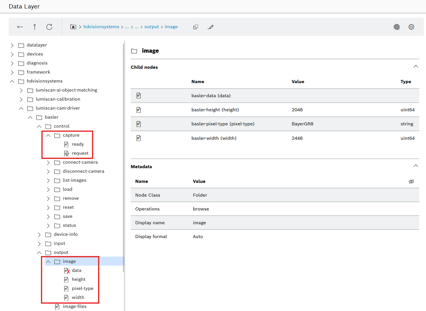 Data Layer browser with the capture nodes and output/image with data